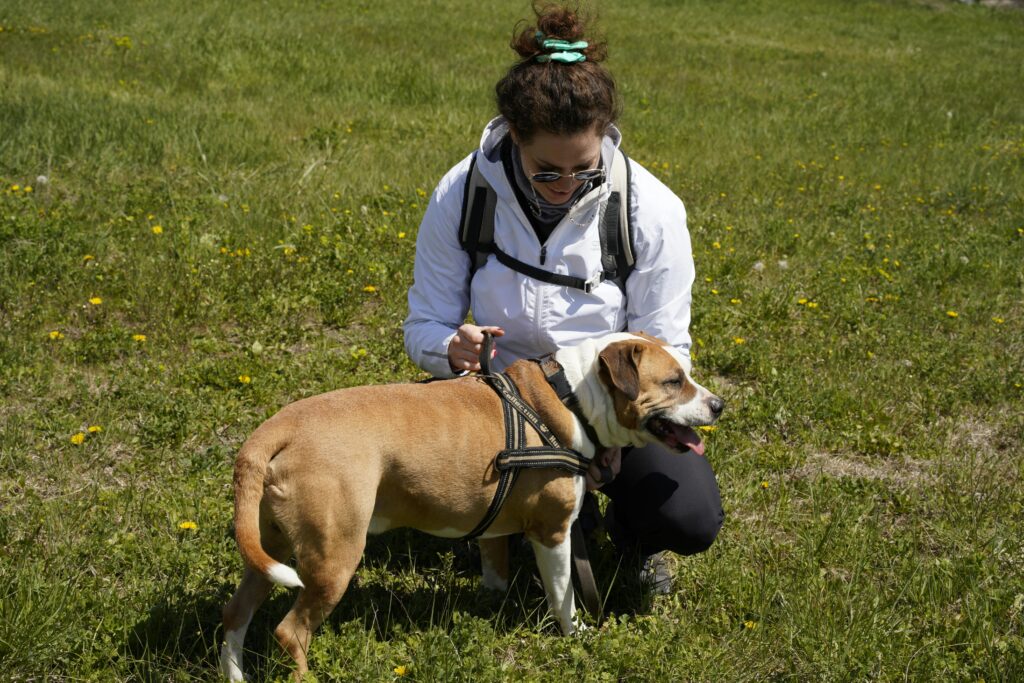 Boston East Apartments – East Boston A woman in a field kneels beside her pet dog, enjoying a sunny day outdoors.