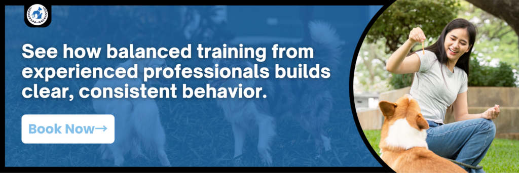 Positive Reinforcement Training for Dogs image