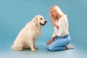 is negative reinforcement bad dogs