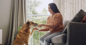 positive reinforcement training dogs