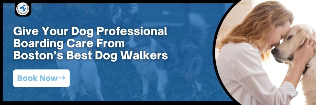 Dog boarding banner featuring a woman cuddling a golden retriever with text promoting professional boarding care from Boston dog walkers.
